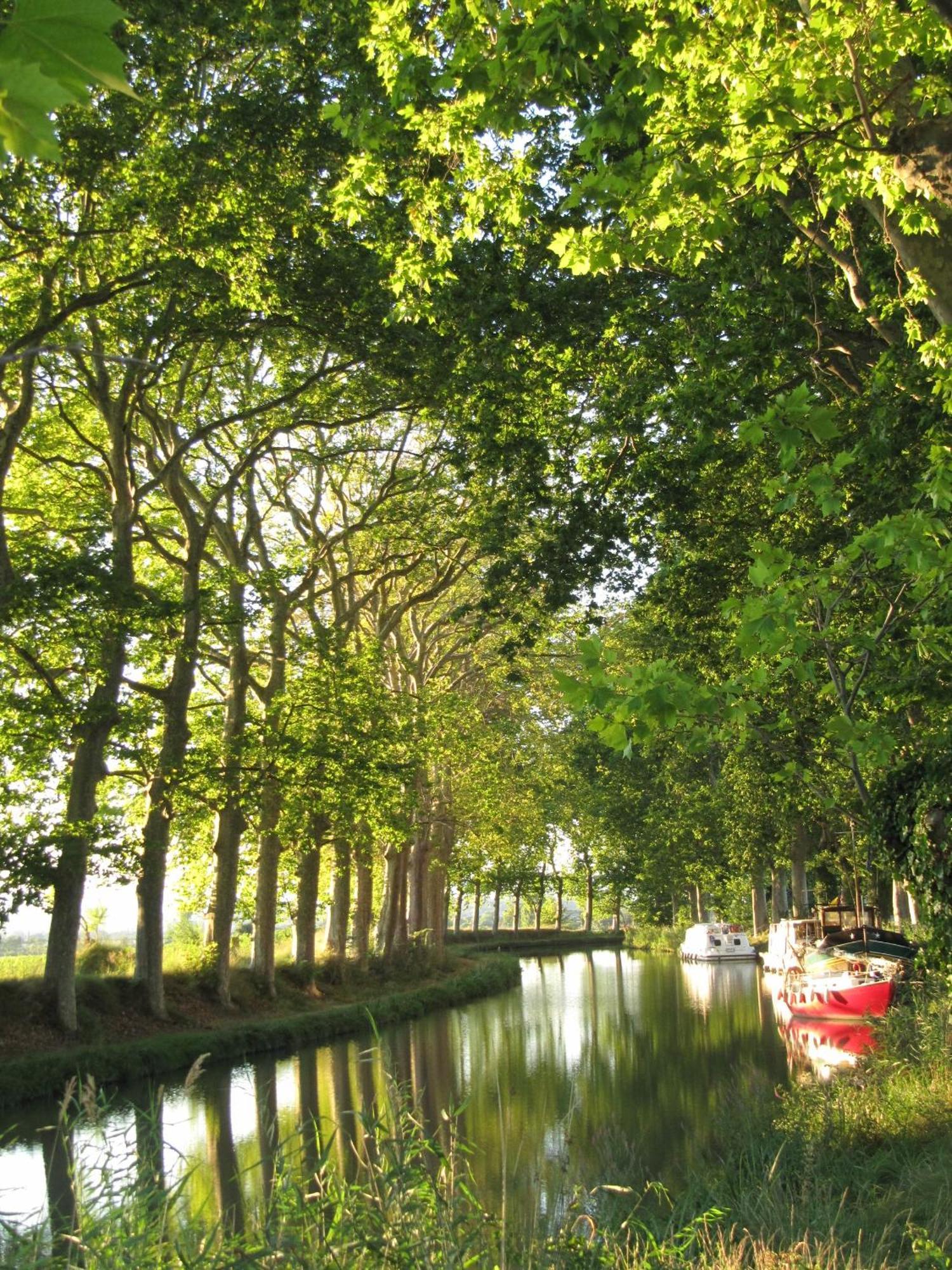 Chez Pauline & Vincent Cote Canal Carcassonne Buitenkant foto
